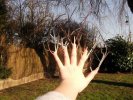 arbre-main Matilde