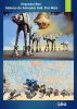 Reproduction Tableau de Salvador Dali, Star Wars de Léo